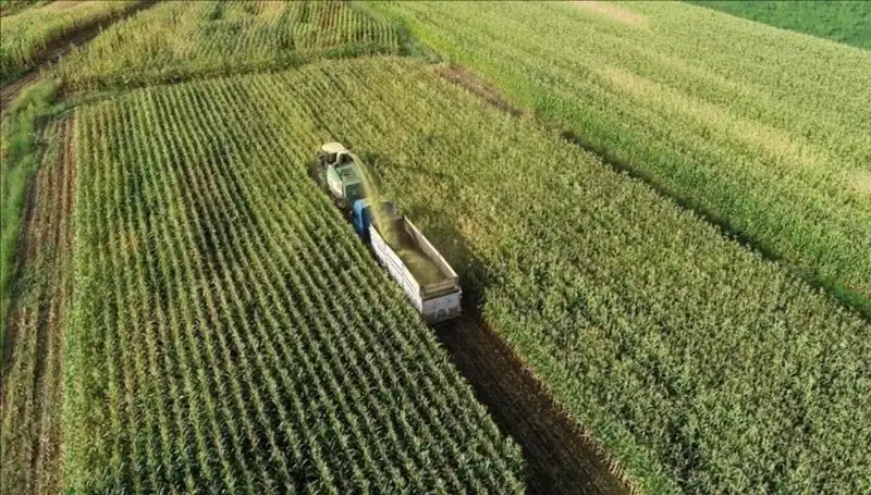 2025 Mart Mazot ve Gübre Desteği Ödemeleri: Son Durum Nedir?