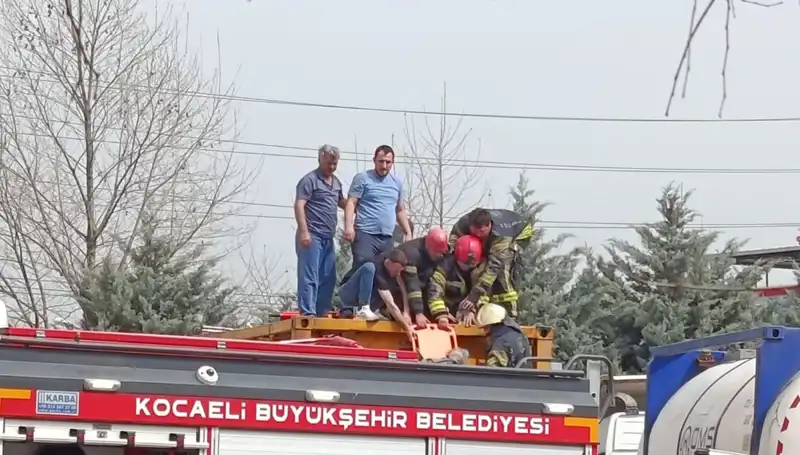 Tehlikeli Maddelerle Dolu TIR'ın Tankına Düşerek Hayatını Tehlikeye Attı!