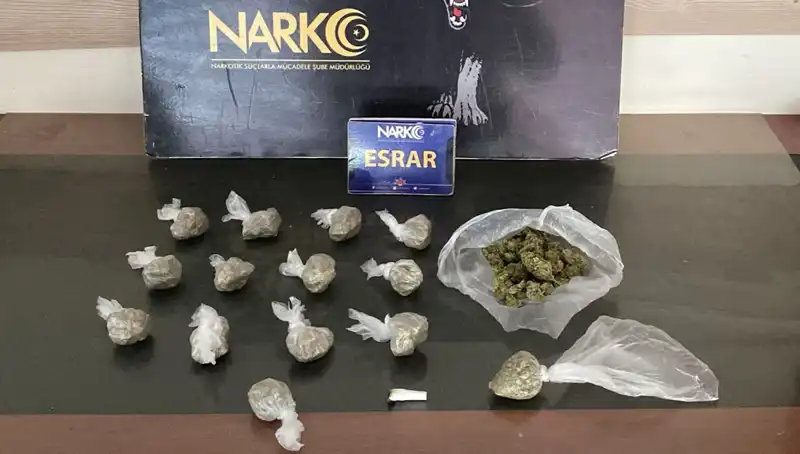 Kamyonetteki Şok: 100 Gram Esrar Ele Geçirildi, Sürücü Tutuklandı!