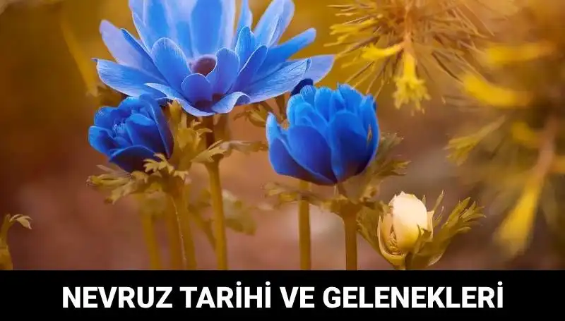 Nevruz Bayramı: Geleneği ve Kutlama Tarihleriyle Baharın Gelişi
