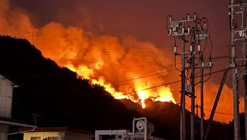 Japonya’nın 2 Eyaletinde Orman Yangını Tehlikesi: Hava Koşulları Alarm Veriyor