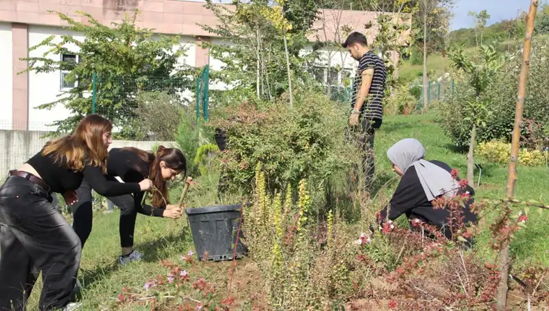Düzce’den Dünyaya Açılan Pencere: Hayal Gerçek Oldu