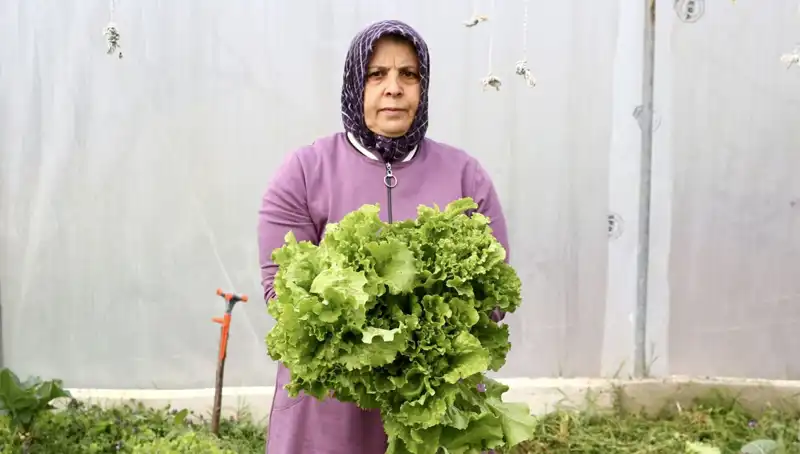 Emekli Olunca Hayalindeki İşletmeyi Açtı: Devlet Desteğiyle Memleketine Dönüş