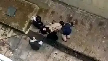 Kampüste Köpek Paniği: Kaçarken 4 Metreden Betona Düştü!