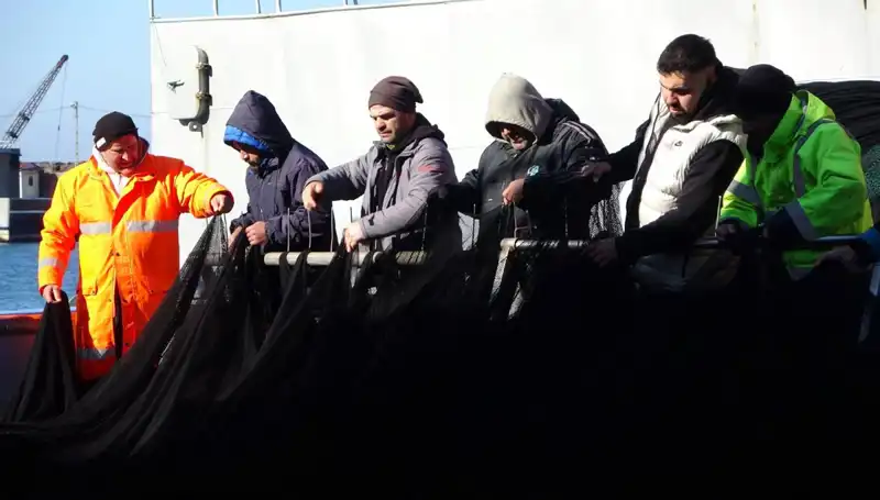Hamsi Avında Şok Gelişme: Tekneler Neden Erken Veda Etti?